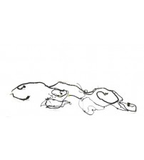 Chicote Parcial Da Cabine S10 2012 A 2016 52071389 Chicote Parcial Da Cabine S10 2012 A 2016 52071389