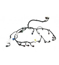 Chicote Do Motor Cactus 1.6 Asp Automático 2020 2021 2022 Chicote Do Motor Cactus 1.6 Asp Automático 2020 2021 2022